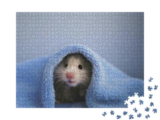 A Hamster in a Blue Towel. Blue Background... Jigsaw Puzzle with 1000 pieces