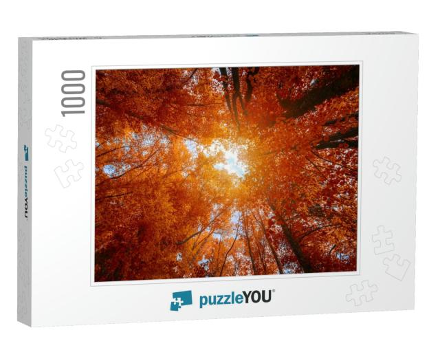 Colorful Autumn Treetops in Fall Forest with Blue Sky & S... Jigsaw Puzzle with 1000 pieces