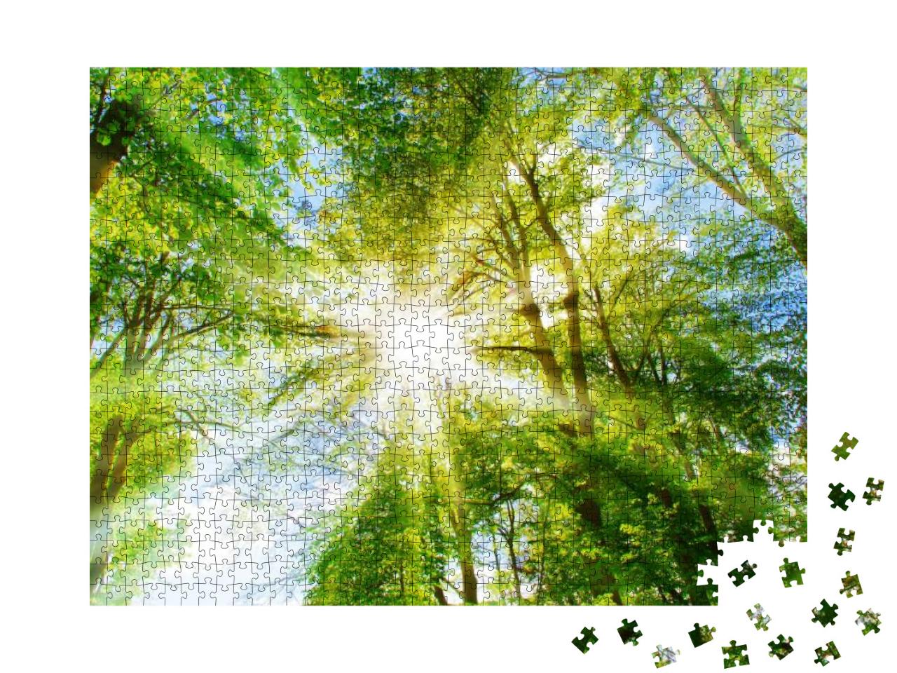Bright Sun in the Forest... Jigsaw Puzzle with 1000 pieces