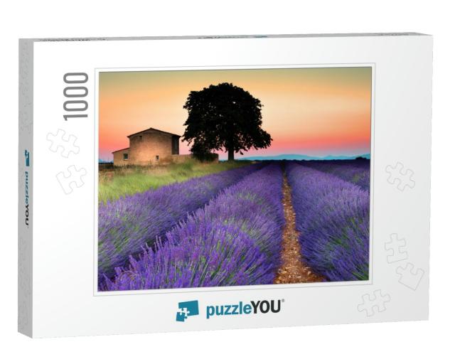 Summer Sunset in Valensole. Provence, France... Jigsaw Puzzle with 1000 pieces