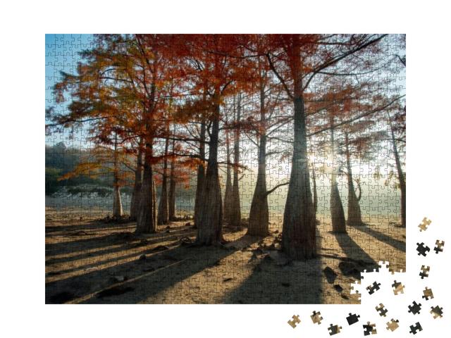Amazing View on Taxodium Distichum Bald Cypress Cipre in... Jigsaw Puzzle with 1000 pieces