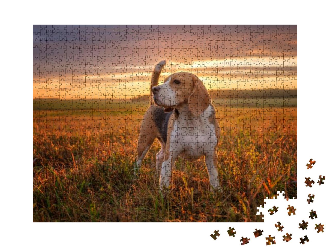 Portrait of a Beagle Dog on the Background of a Beautiful... Jigsaw Puzzle with 1000 pieces