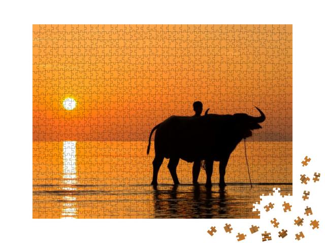 Tug Buffalo on the Beach in Ko Samui Thailand... Jigsaw Puzzle with 1000 pieces