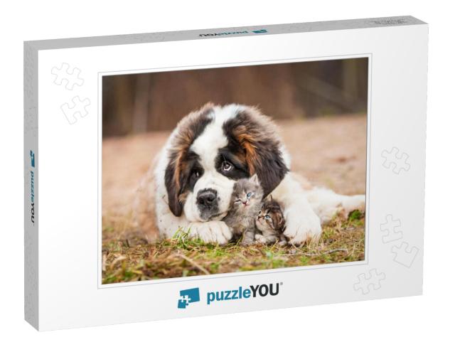 Saint Bernard Puppy with Little Kittens... Jigsaw Puzzle