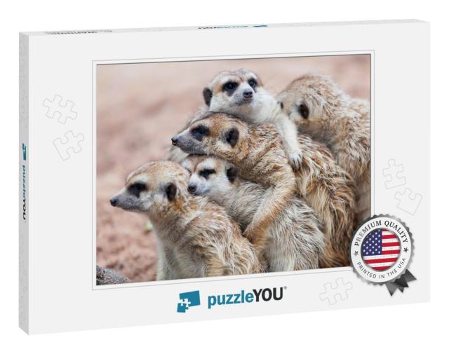 Group Hug Meerkat Standing on a Rainy Day Because of Cold... Jigsaw Puzzle