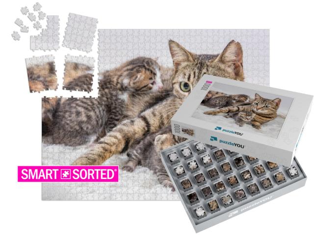 Mom Mother Cat & Baby Cat Kitten... | SMART SORTED® | Jigsaw Puzzle with 1000 pieces