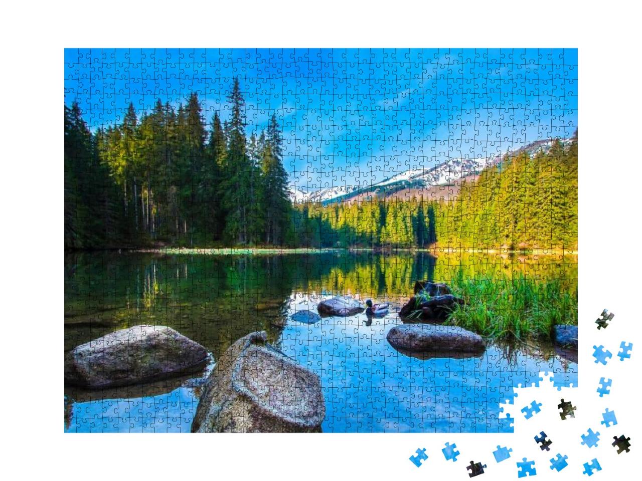 Stones in the Calm Water of a Mountain Lake... Jigsaw Puzzle with 1000 pieces