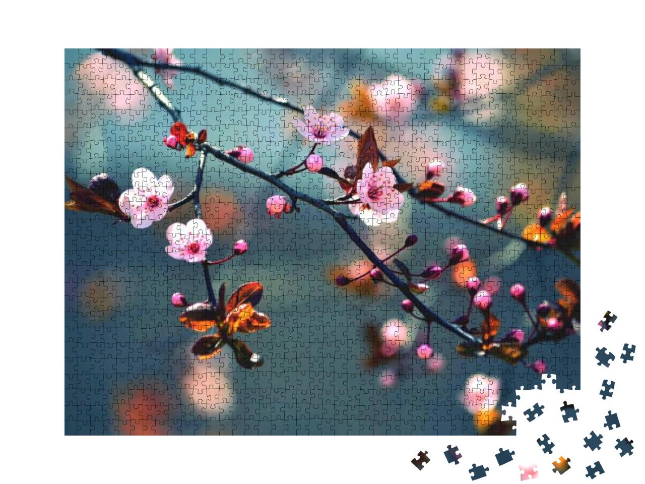 Beautiful Flowering Japanese Cherry - Sakura. Background... Jigsaw Puzzle with 1000 pieces
