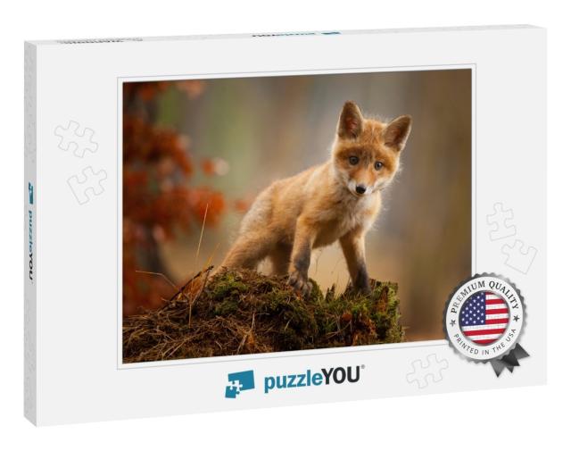 A Young Fox Shot in a Forest... Jigsaw Puzzle