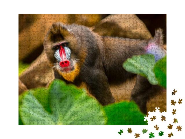 Rainbow Face Monkey Mandrill. Beautiful Mandrill Portrait... Jigsaw Puzzle with 1000 pieces