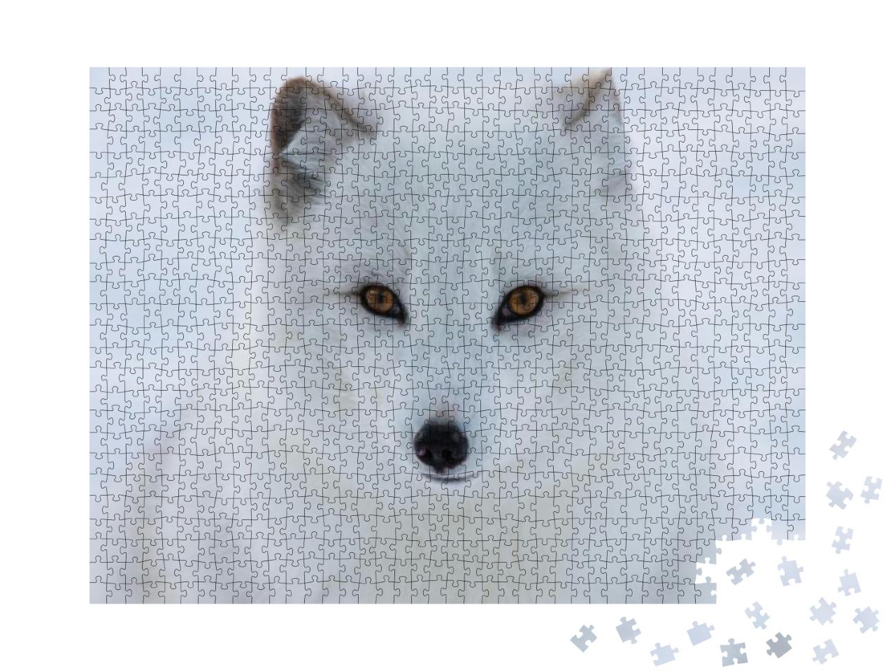 Arctic Fox on Snow Background... Jigsaw Puzzle with 1000 pieces