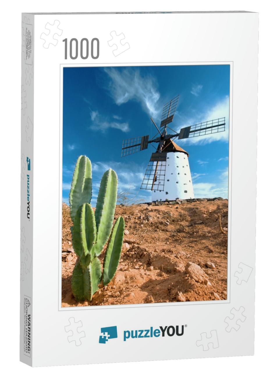 Cactus & Traditional Windmill on Fuerteventura, Canary Is... Jigsaw Puzzle with 1000 pieces