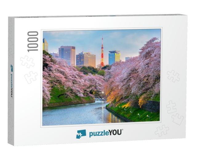 Chidorigafuchi Park During the Spring Season This Area is... Jigsaw Puzzle with 1000 pieces