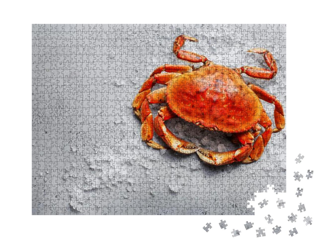 Boiled Dungeness Crab on Ice Over Gray Concrete Backgroun... Jigsaw Puzzle with 1000 pieces