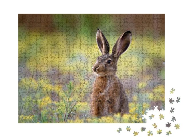 European Hare Stands in the Grass & Looking At the Camera... Jigsaw Puzzle with 1000 pieces