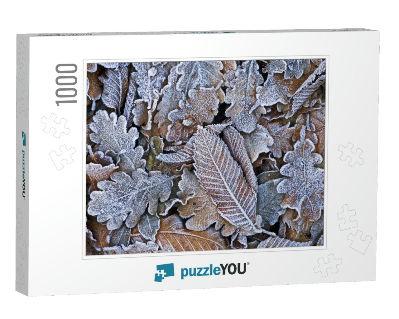 Texture of Some Leaves Covered by Snow & Ice on a Winter... Jigsaw Puzzle with 1000 pieces