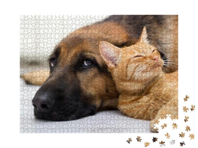Close Up, Cat & Dog Together Lying on the Floor... Jigsaw Puzzle with 1000 pieces