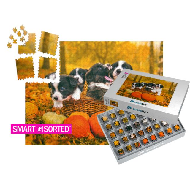 Funny Happy Welsh Corgi Pembroke Puppies Dogs Posing in t... | SMART SORTED® | Jigsaw Puzzle with 1000 pieces