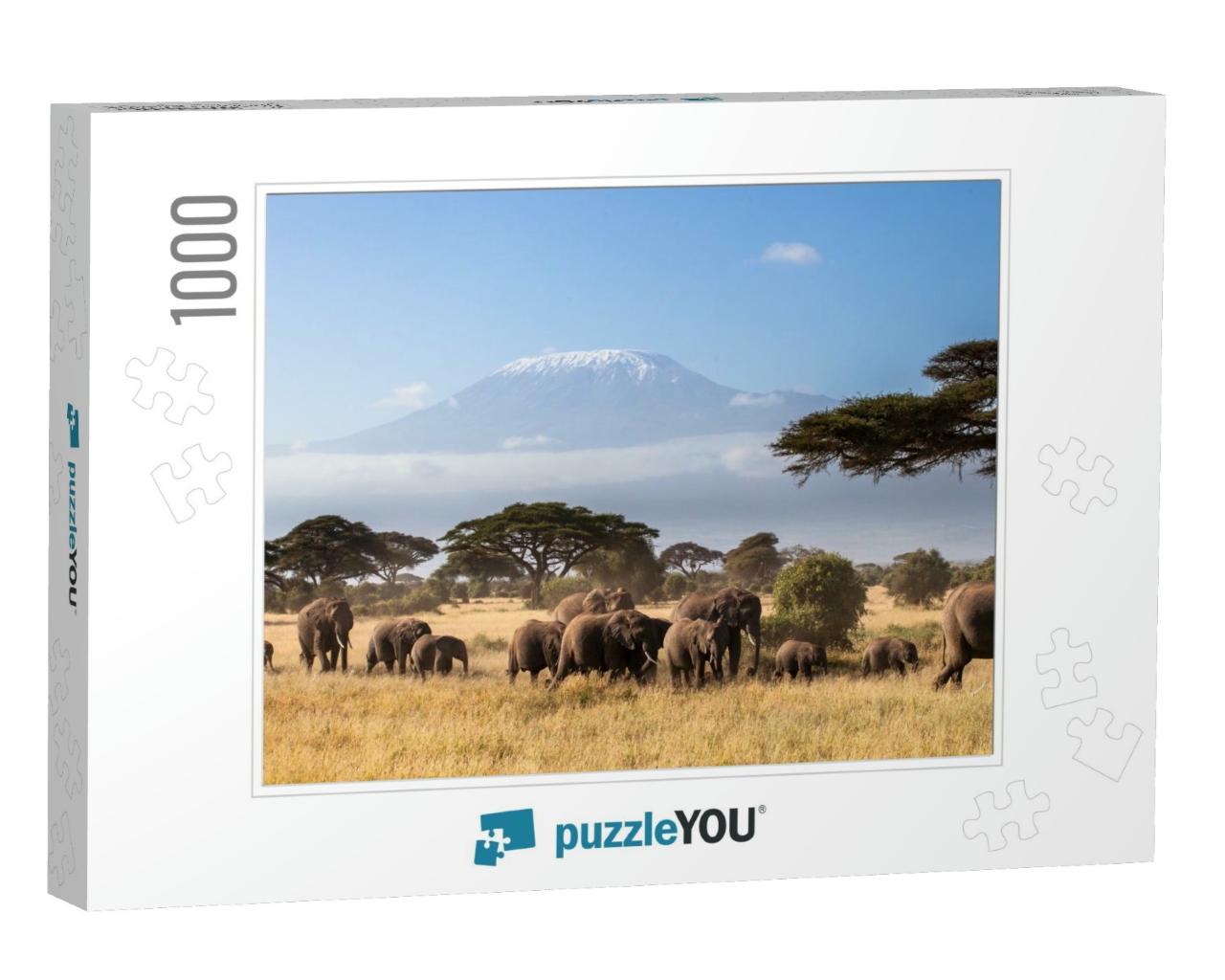 Herd of African Elephants Walking in the African Savannah... Jigsaw Puzzle with 1000 pieces