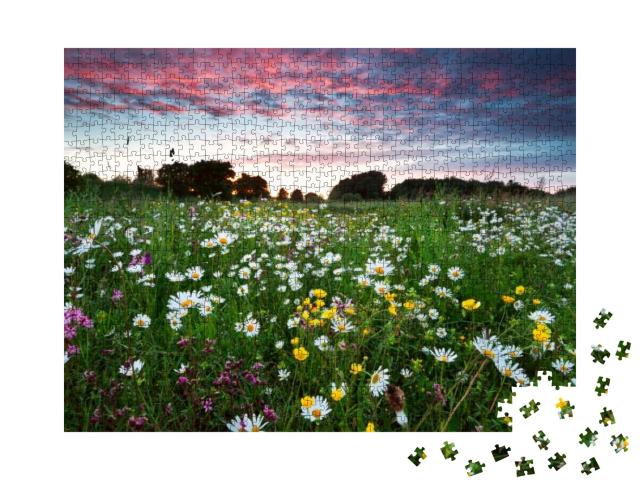 Many Summer Wildflowers on Meadow At Dramatic Pink Sunset... Jigsaw Puzzle with 1000 pieces