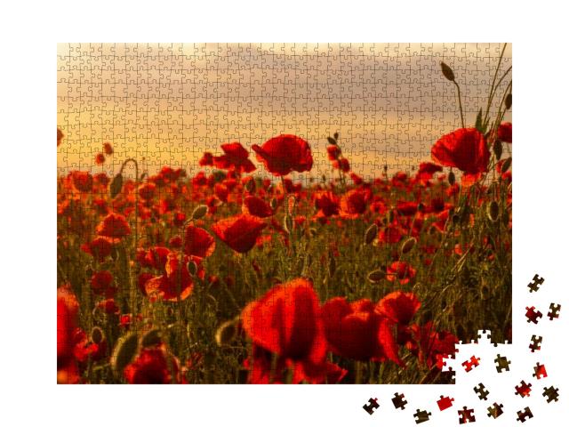 Poppy Field in Full Bloom Against Sunlight. Field of Red... Jigsaw Puzzle with 1000 pieces