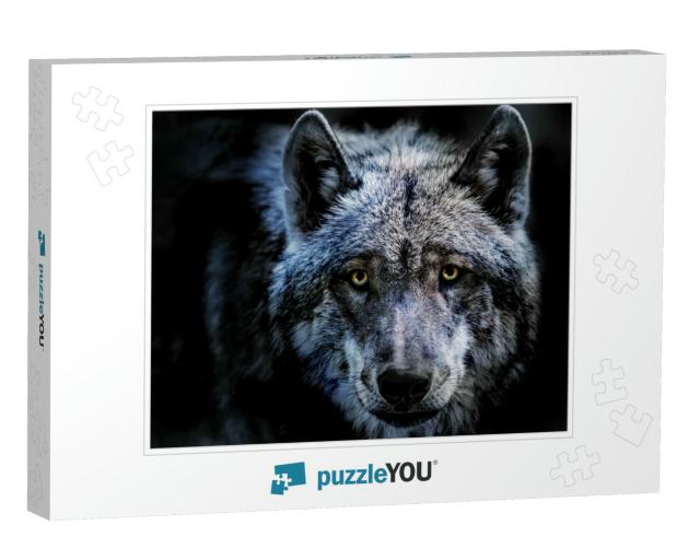 A Portrait of a Dangerous Wolf... Jigsaw Puzzle