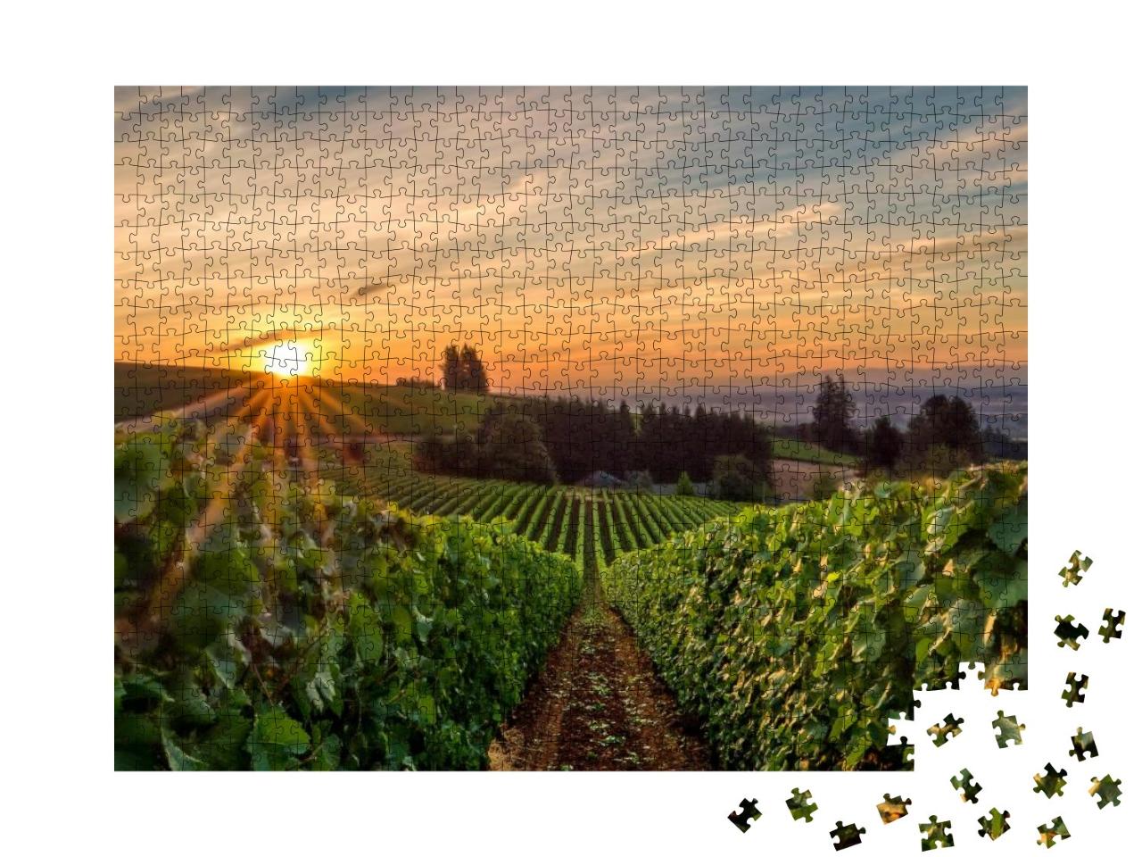 Sun Rising Over a Vineyard in Willamette Valley... Jigsaw Puzzle with 1000 pieces
