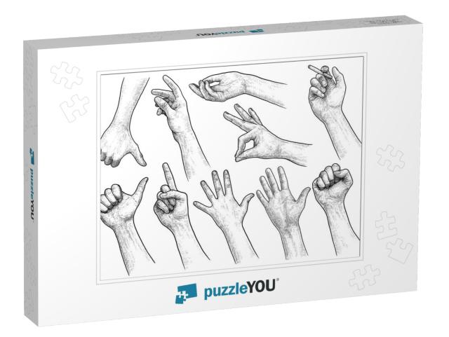 Hand Gesture Collection Illustration, Drawing, Engraving... Jigsaw Puzzle