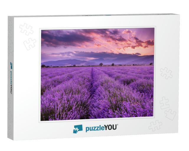 Lavender Field Sunset & Lines... Jigsaw Puzzle