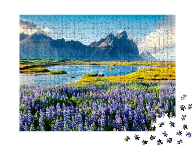 Blooming Lupine Flowers on the Stokksnes Headland. Colorf... Jigsaw Puzzle with 1000 pieces