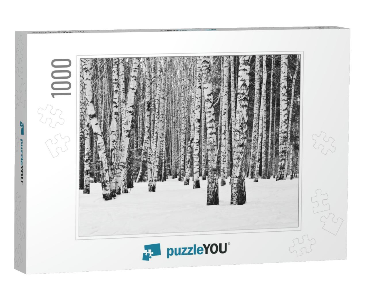 Birch Forest in Winter in Black & White... Jigsaw Puzzle with 1000 pieces