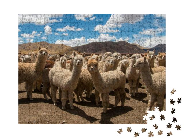 Herd of Alpacas Grazing in Peru, Near Cusco in the Andes... Jigsaw Puzzle with 1000 pieces