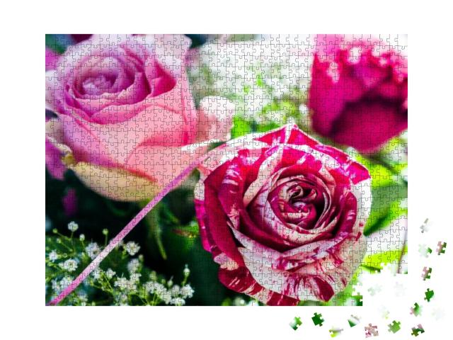Abracadabra, a Very Romantic Floribunda Rose, with Gorgeo... Jigsaw Puzzle with 1000 pieces