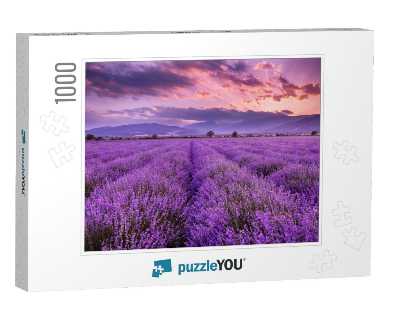 Lavender Field Sunset & Lines... Jigsaw Puzzle with 1000 pieces