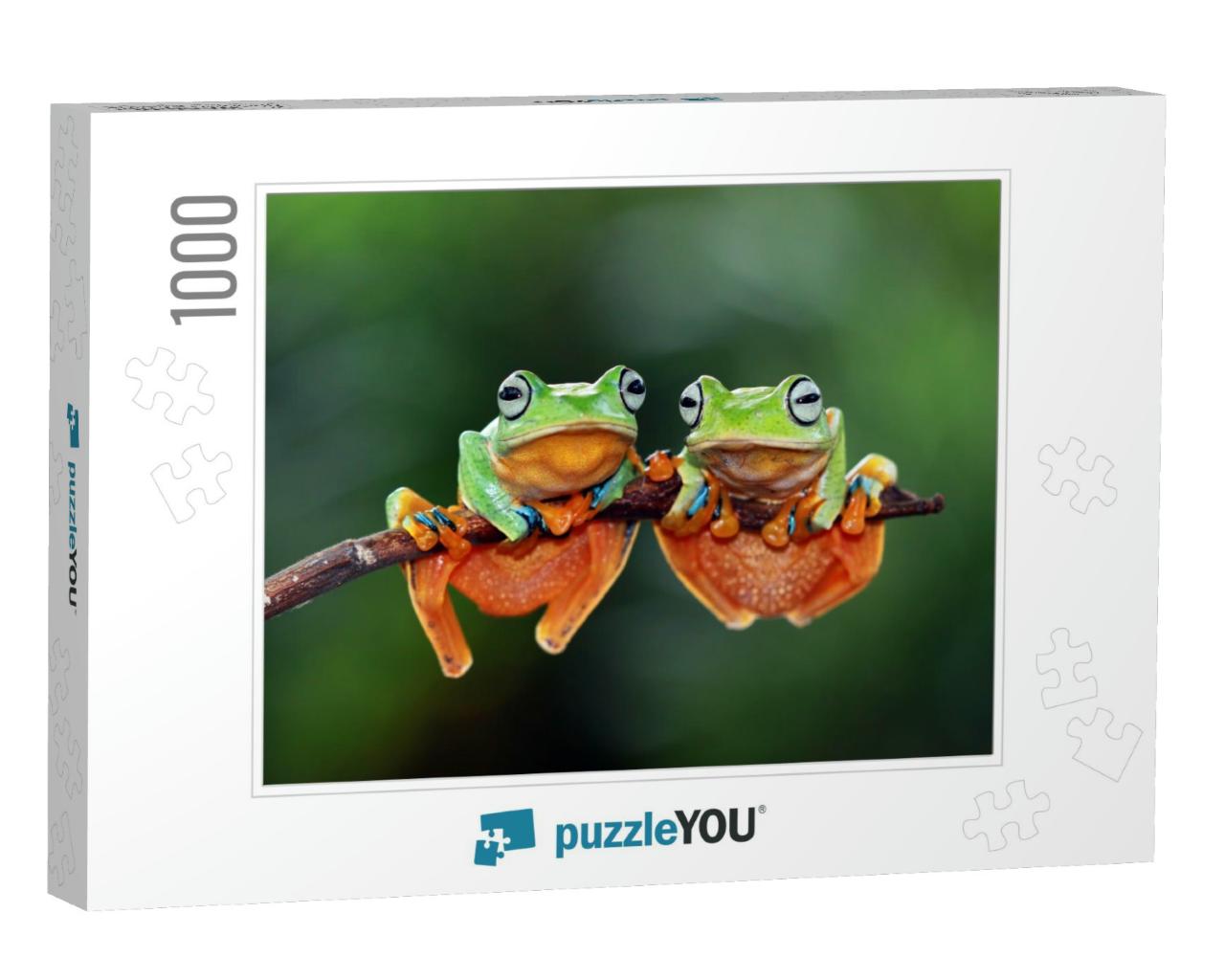 Tree Frog, Flying Tree Frog on Branch... Jigsaw Puzzle with 1000 pieces