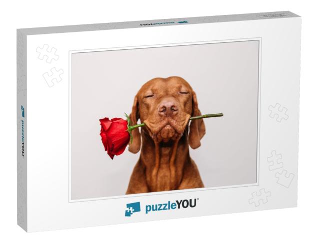 Charming Red-Haired Vizsla Dog with Eyes Closed Ho... Jigsaw Puzzle