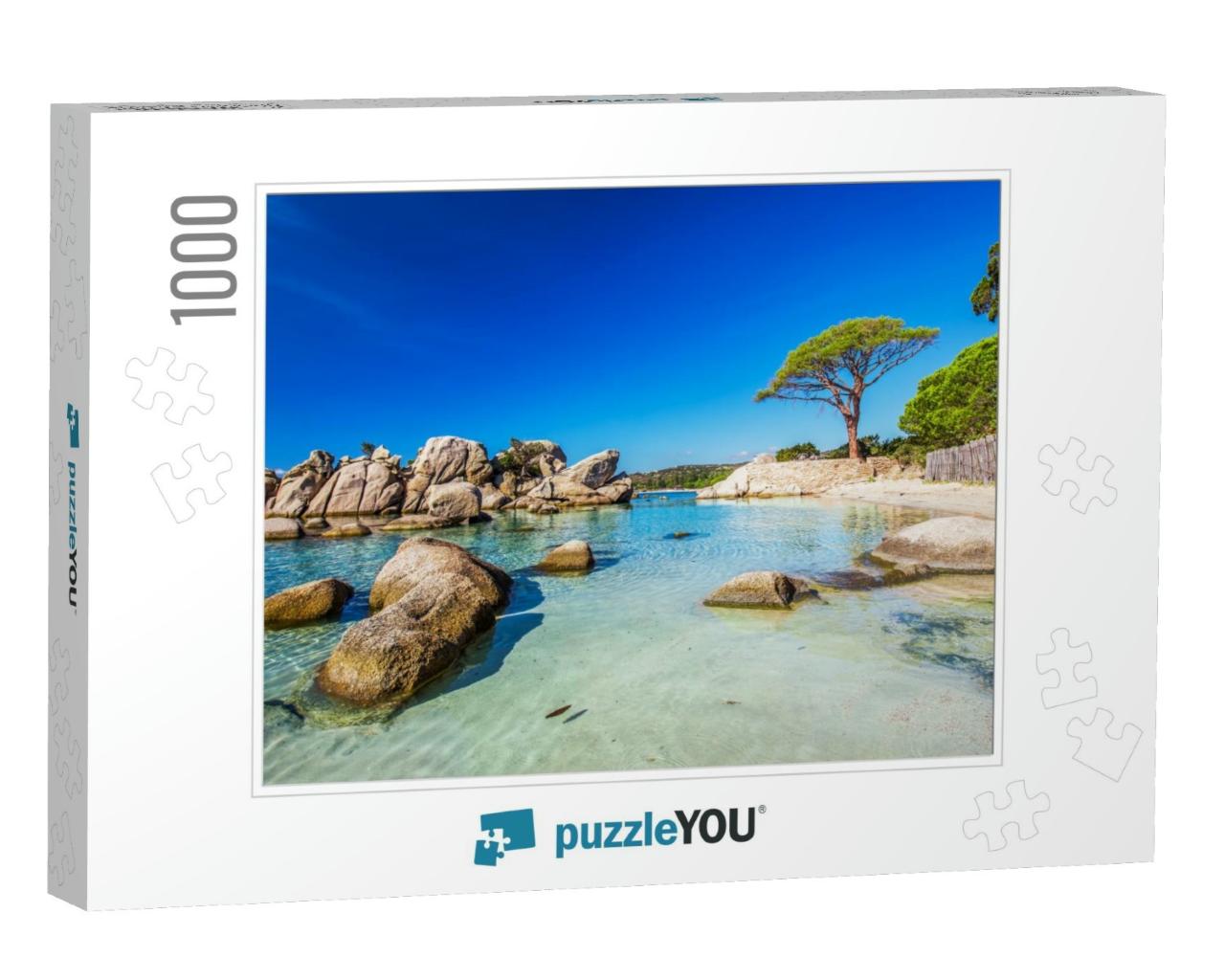 Famous Pine Tree on Palombaggia Beach with Azure Clear Wa... Jigsaw Puzzle with 1000 pieces