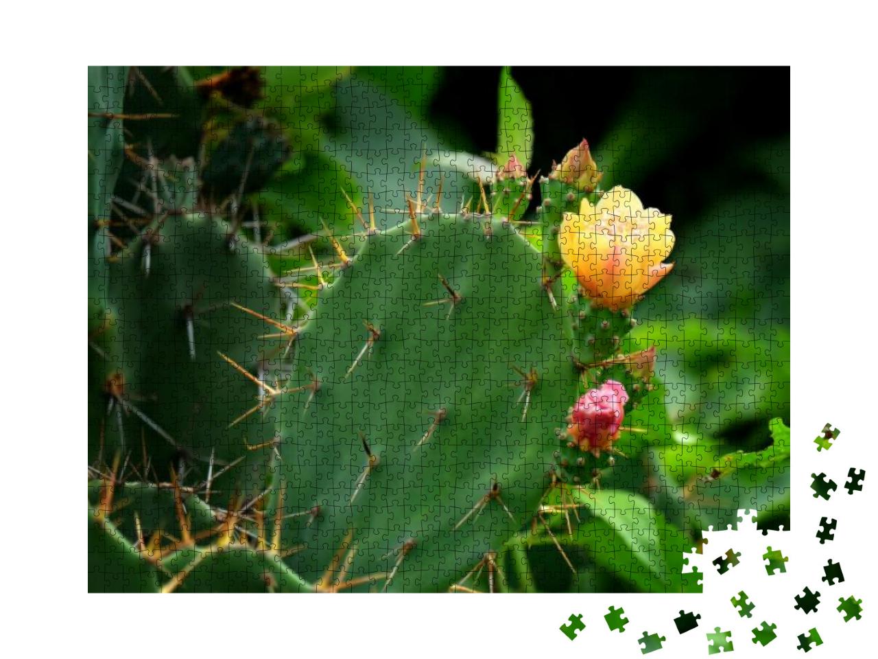 Green Pads on a Prickly Pear Cactus. Blooming Yellow Flow... Jigsaw Puzzle with 1000 pieces