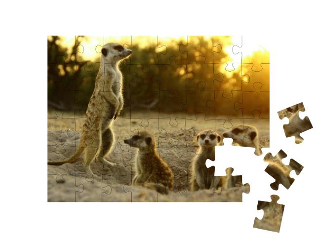 Meerkat the Most Funny Animal. Namibia Wild Life... Jigsaw Puzzle with 48 pieces