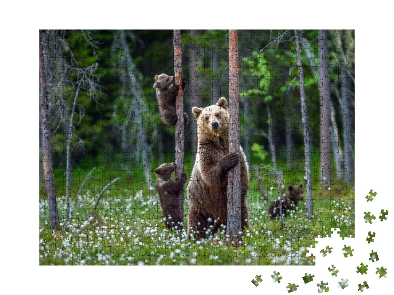 She-Bear & Bear Cubs in the Summer Forest on the Bog Amon... Jigsaw Puzzle with 1000 pieces