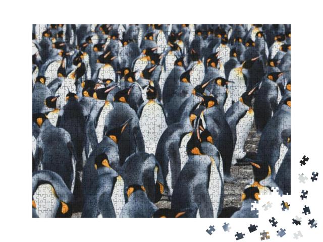 King Penguin Colony on the Volunteer Point in the Falklan... Jigsaw Puzzle with 1000 pieces