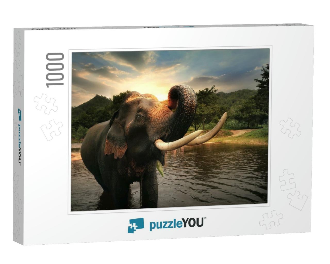 Wild Elephant in the Beautiful Forest At Kanchanaburi Pro... Jigsaw Puzzle with 1000 pieces