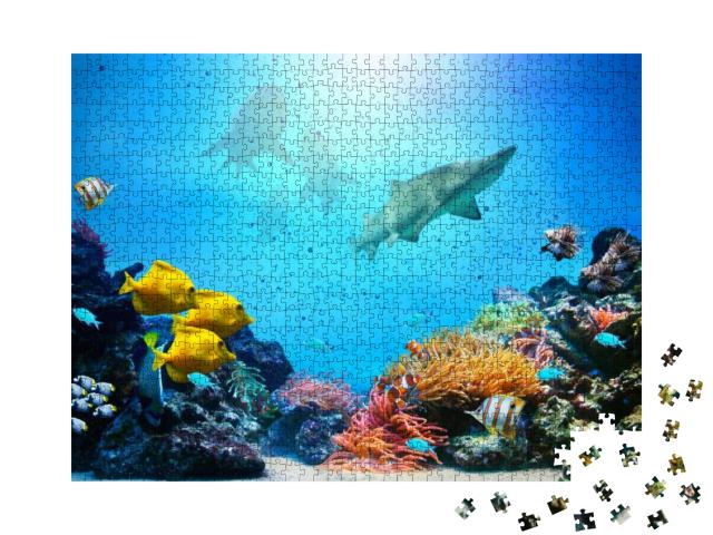 Underwater Scene. Coral Reef, Colorful Fish Groups, Shark... Jigsaw Puzzle with 1000 pieces