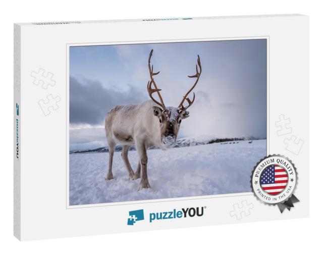 Portrait of a Reindeer with Massive Antlers Pulling Sleig... Jigsaw Puzzle