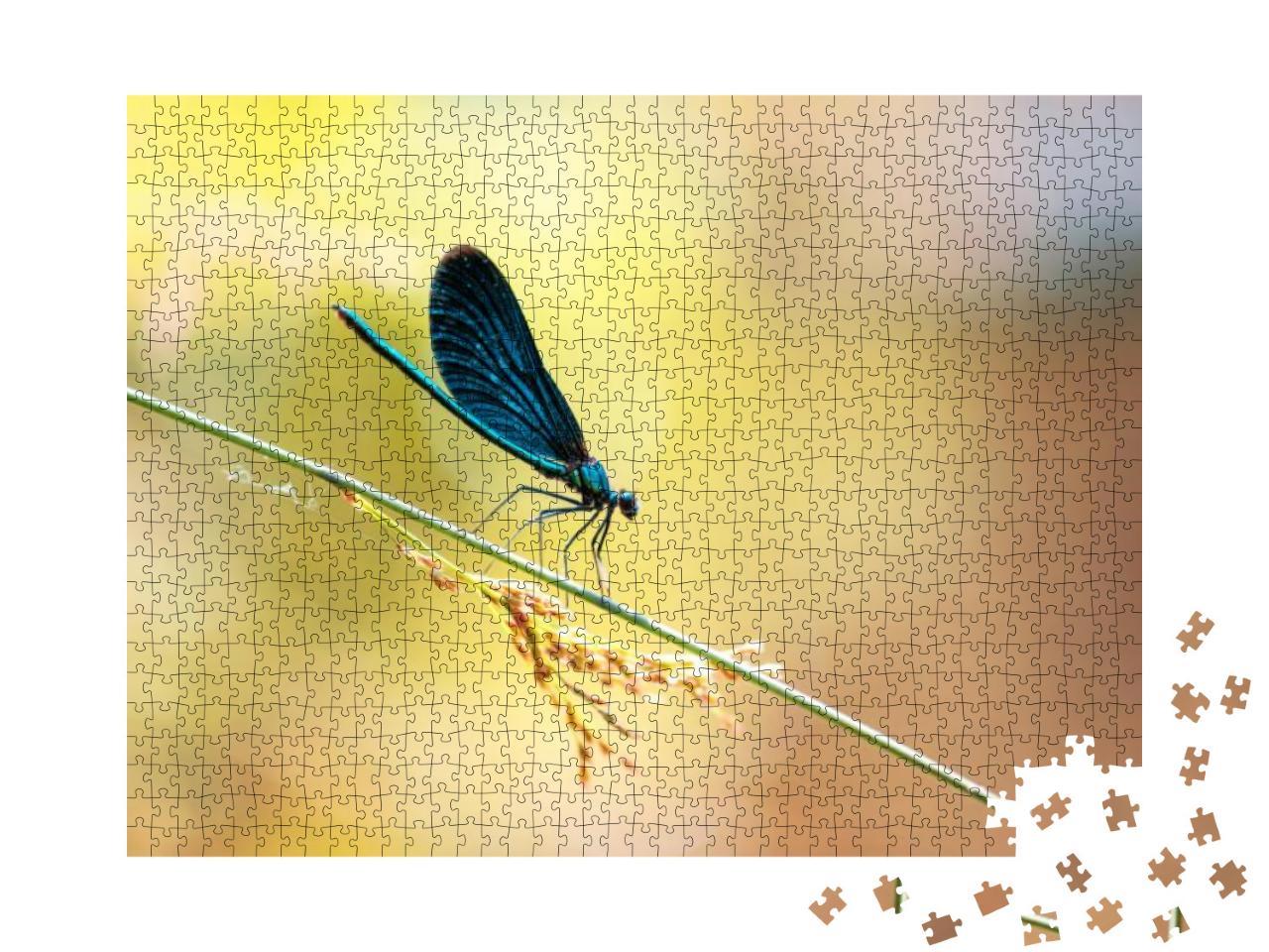 Beautiful Nature Scene with Dragonfly Hold on Green... Jigsaw Puzzle with 1000 pieces