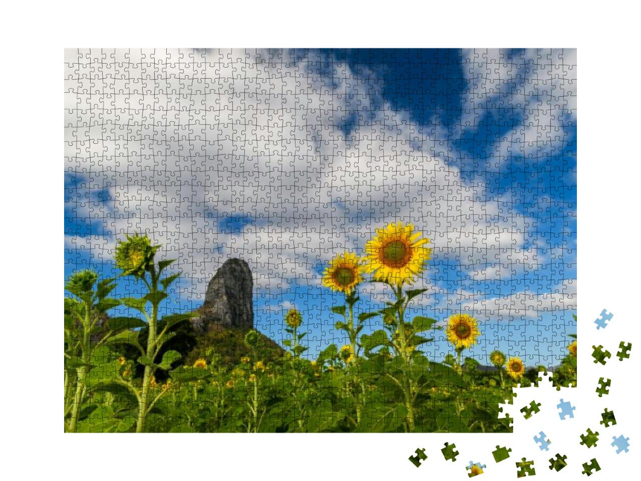 Sunflowers is Blooming in the Sunflower Field with Big Mo... Jigsaw Puzzle with 1000 pieces