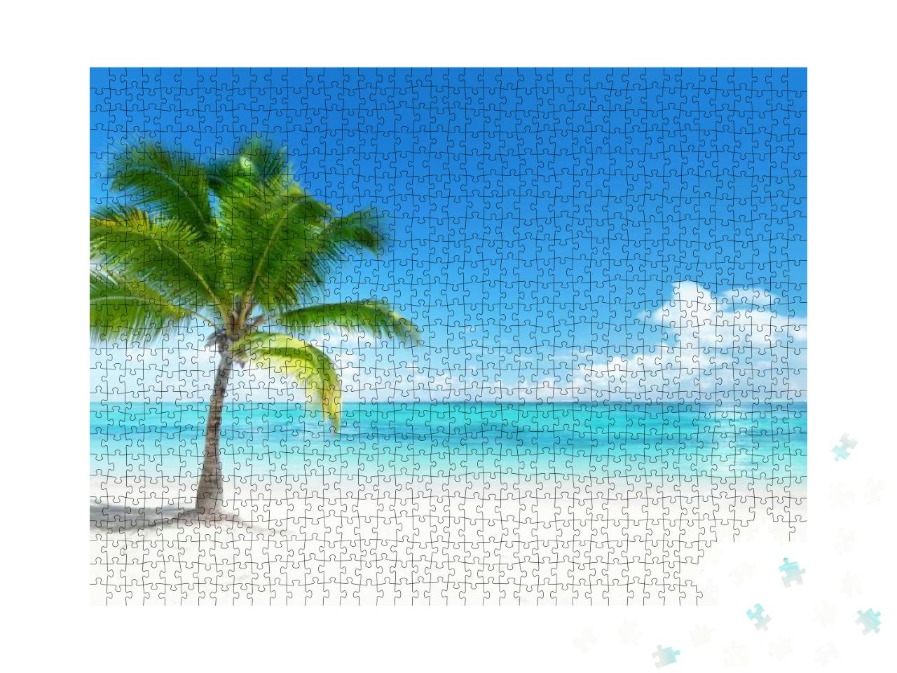 Palm on the Beach, Dominican Republic... Jigsaw Puzzle with 1000 pieces