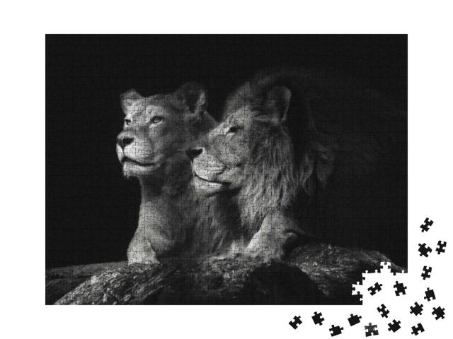 Portrait of a Sitting Lions Couple Close-Up on an Isolate... Jigsaw Puzzle with 1000 pieces