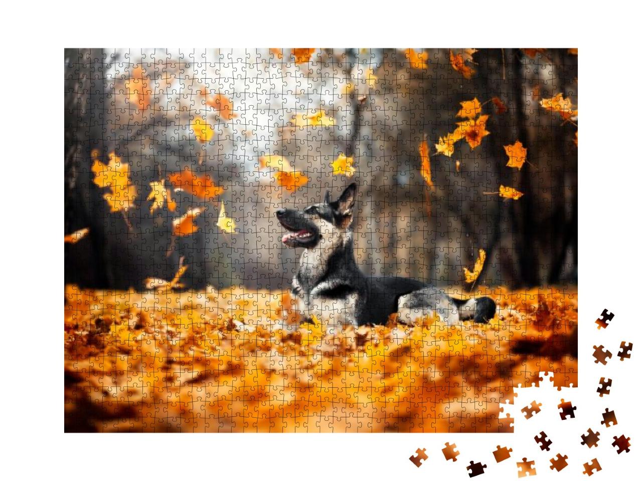 The Dog Lies in the Foliage. East European Shepherd. Flyi... Jigsaw Puzzle with 1000 pieces