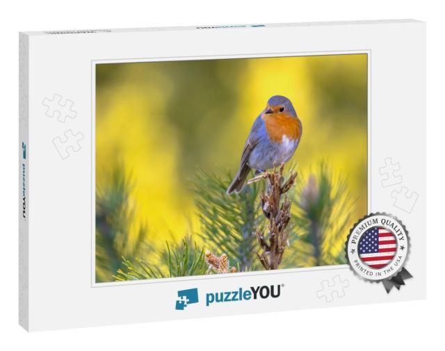 Red Robin Erithacus Rubecula Bird Foraging in an Ecologic... Jigsaw Puzzle